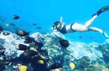 Nusa Penida Island Beach Tour With Snorkeling - Departure From Bali Island