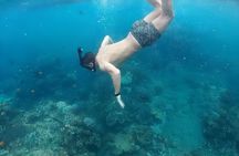 Bali Full-Day Tour to Exploring Nusa Penida Island with Snorkeling From Bali