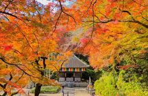 From Tokyo: Kamakura & Enoshima 1-Day Bus Tour