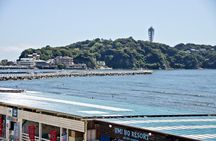 From Tokyo: Kamakura & Enoshima 1-Day Bus Tour