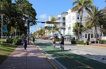 Miami 360° Luxury Van Tour – Beaches, Culture & Hidden Gems