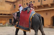 From Delhi 4 Days Golden Triangle Tour by Private Car