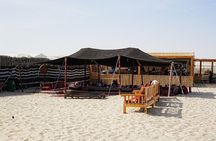 Full Day Desert Safari Doha/dinner included