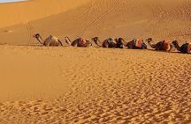 5-Day Morocco Desert Group Tour from Fes to Marrakech