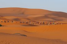5-Day Morocco Desert Group Tour from Fes to Marrakech