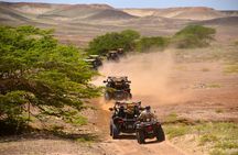 Sal Island: 2H Buggy Desert Adventure - 1000cc
