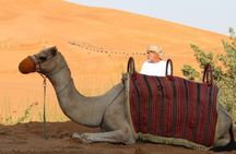 Private Full Day Guided West of Qatar Tour and Desert Safari