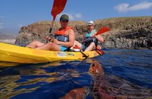 Kayaking with Dolphins and Turtles and Snorkelling in Tenerife
