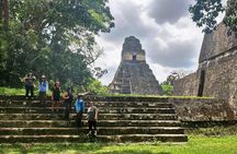 Tikal Vip Private Tour from Flores Guatemala with transportation 