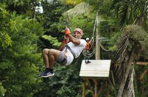 Monkey Zipline and Rum Tasting Tour at Harrison's Cave by Chukka