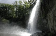 Eastwoodhill Arboretum and Rere Falls Private Tour. Gisborne Port