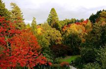 Eastwoodhill Arboretum and Rere Falls Private Tour. Gisborne Port