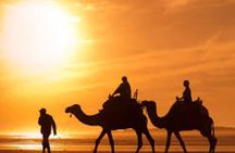 Agadir Dune Quad Bike and Sunset Camel ride Adventure 