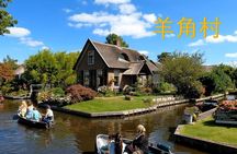 Private Customized Tour: giethoorn & Windmill zaanse （english/粤语）