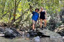 Hiking Tour and Play in Charco El Pilon 