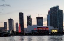 2 HR Miami Lights & Skyline Private Night Tour for up to 6 people
