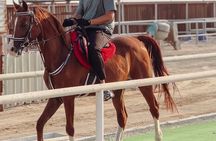 Private Horse and Camel Riding Experience in Doha