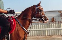 Private Horseback Riding Experience in Doha
