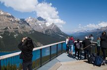 Full Day Tour-Johnston Canyon, Lake Louise, Peyto Lake,...