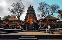 Private Half Day-Tour: Ubud Waterfall Trip