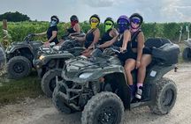 ATV agritourism tours / theme park