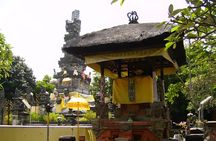 Private Half-Day Tour: Denpasar City Trip
