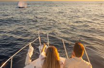 Adult Only - Cabo San Lucas Romantic Sunset Cruise 