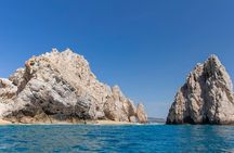 Combo: Whale Watching, Shopping and Beach Time