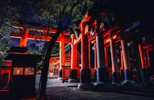 Deep Kyoto Tour in Private Van - guided by Local Expert