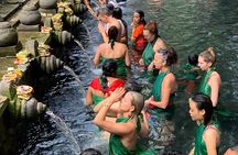Bali Full Day-Tour: Ubud Sightseeing Trip