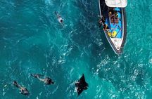 2 day tour and snorkel to meet Manta Rays in Nusa Penida