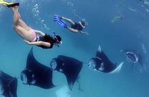2 day tour and snorkel to meet Manta Rays in Nusa Penida