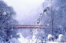 Full Day Private Skiing / Snowboarding Tour in Sapporo
