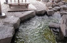Sapporo Private Sightseeing Tour in Onsen with Special Package