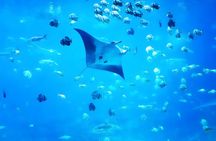 Nusa Penida Island Beach Tour With Snorkeling - Departure From Bali Island