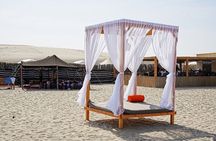 Doha Overnight Desert Safari dinner/breakfast included