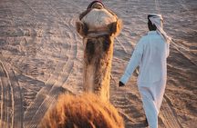 Private Night Desert Safari Dune Bashing and Camel Ride in Doha