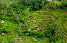 Bali Swing Activity and Ubud Watefall Trip Packages