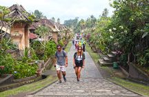 Bali Tour: Village, Volcano, Holy Spring Temple, Waterfall Tour