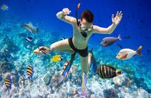 Day Tour To Nha Trang Coral Reef With BBQ Lunch & Mud Bath