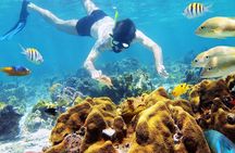 Day Tour To Nha Trang Coral Reef With BBQ Lunch & Mud Bath