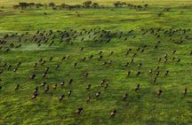 8 Days Tour in Kenya and Tanzania