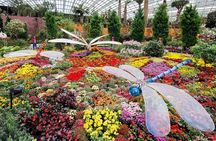 Singapore Gardens by the Bay & Jurassic World with Hotel Pick up