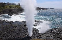 Private tour of Kiama Blowholes, Sea Cliff Bridge and Wattamolla