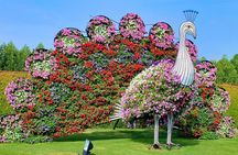 Miracle Garden Admission Tickets with Transfer Options