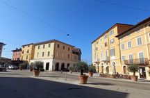 3 Hours Art Creation: Papier-mâché in the Studio in Pietrasanta