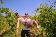 Pisa, Siena and San Gimignano Day Trip with Lunch & Wine Pairing