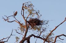 6 Days Victoria Falls Chobe Wildlife and Okavango Delta Tour