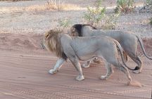 6 Days Victoria Falls Chobe Wildlife and Okavango Delta Tour