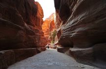 Petra The Rose City Adventure from Sharm El Sheikh